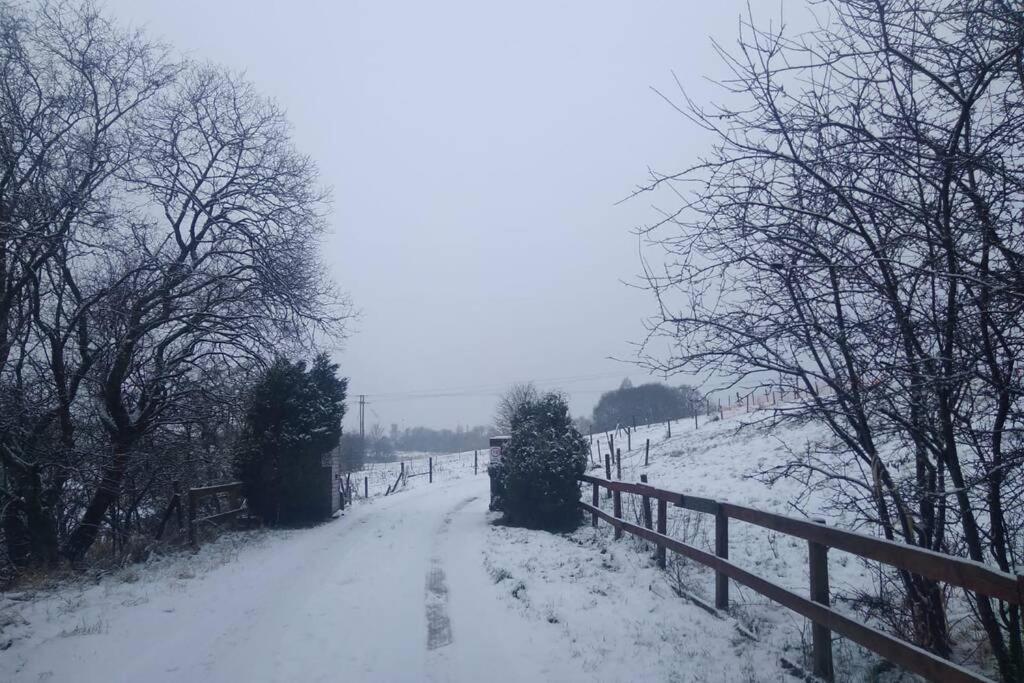 The Cottage - Hot Tub - Nr Glasgow - Self Check-In Coatbridge Εξωτερικό φωτογραφία